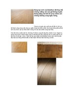 Sàn gỗ uốn lượn tự nhiên của Bolefloor.doc