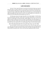 Một số biện pháp mở rộng thị trường tại công ty may Sơn Chinh.doc.DOC