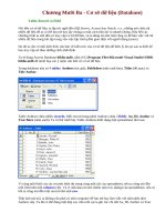 Cơ sở dữ liệu (Database) trong VB