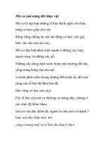 Mô cơ (mô nâng đỡ) thực vật