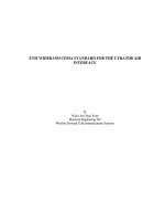 ETSI WIDEBAND CDMA STANDARD FOR THE UTRA FDD AIR INTERFACE.pdf