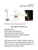 hình thái vi sinh vật
