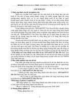 Giải pháp mở rộng thanh toán điện tử tại NHNo&PTNT Bắc Hà Nội.doc