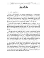 Phương hướng hoàn thiện chính sách tài chính BHXH tại VN.doc.DOC