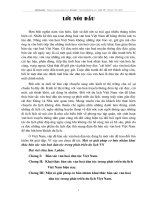 Một số giải pháp cơ bản nhằm khai thác bản sắc văn hóa trong du lịch VN.doc