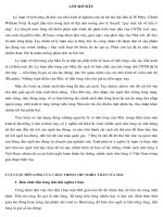 Ly luan ve tien luong cua Mac .pdf