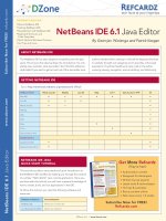 NetBeans IDE 6.1  Java Editor