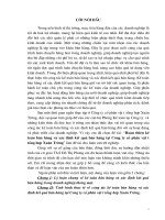 Hoàn thiện kế toán bán hàng và xác định kết quả bán hàng tại Công ty cổ phần vật tư tổng hợp Xuân Trường.Doc