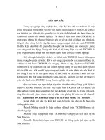 Hạch toán TSCĐHH tại công ty du lịch dịch vụ Hà Nội Toserco.doc