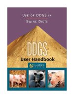 Use of DDGS in Swine Diets
