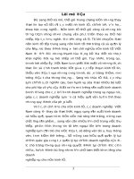 Giải pháp nâng cao chất lượng phân tích tài chính tại công ty phích nước Rạng Đông.doc.DOC