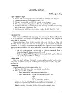 Viem mang nao lop cap cuu.pdf