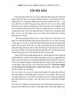 Hoàn thiện nghiệp vụ kênh phân phối sản phẩm phần mềm tin học của FPT.doc.DOC