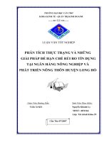 Phân tích thực trạng và những giải pháp để hạn chế rủi ro tín dụng tại ngân hàng nông nghiệp và phát triển nông thôn huyện long hồ.pdf