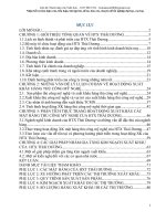 Phân tích tình hình xuất khẩu và các giải pháp gia tăng kim ngạch xuất khẩu của HTX Thái Dương.doc