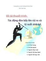 Tác động đòn bẩy lên rủi ro và tỷ suất sinh lợi (2).doc