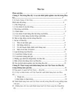 Xuất khẩu hàng hóa Việt Nam vào thị trường Hoa Kỳ - Thực trạng và giải pháp.doc