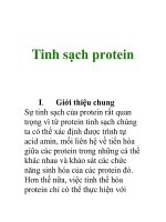 Tinh sạch Protein
