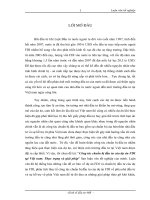 Công tác chuẩn bị đầu tư của dự án FDI tại Việt nam Thực trạng và giải pháp.docx