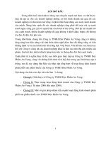 hoạt động kinh doanh phân phối sản phẩm thuốc của Công ty TNHH Dược Phẩm An Vượng.doc