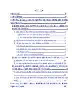 Phát triển BHTDXK ở Việt Nam.DOC