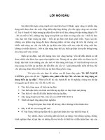 Nghiên cứu, phát triển bộ PLL số cho các ứng dụng sử dụng biến áp áp điện.DOC