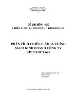Phân tích chiến lược & chính sách kinh doanh công ty cptvxdct 625.doc