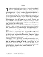 Giải pháp tạo vốn và nâng cao hiệu quả sử dụng vốn tại các DNNN Việt Nam.doc