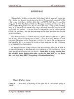 Hoàn thiện hệ thống chỉ tiêu phân tích tài chính doanh nghịêp nhằm phục vụ cho việc thẩm định cho vay dự án đầu tư của Ngân hàng TMCP Công thương- Chi nhánh Bắc Giang  (2).doc