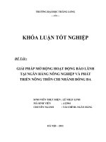 Giải pháp mở rộng hoạt động bảo lãnh tại ngân hàng Nông nghiệp và Phát triển Nông thôn chi nhánh Đống Đa (2).doc