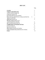 tích luỹ tư bản dưới chủ nghĩa tư bản.DOC