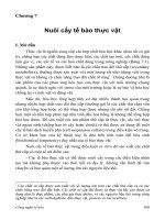 Công nghệ tế bào C7