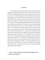 Lý luận và thực tiễn về cổ phần hóa doanh nghiệp nhà nước.doc