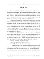 Sự phát triển của thương mại điện tử ở Việt Nam..DOC