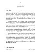 Nghiên cứu tình hình tiêu thụ sản phẩm gạch đất sét nung ở công ty cổ phần đầu tư và xây dựng Tiền Hải.doc