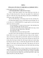 TỔNG QUAN VỀ CÔNG TY TNHH NHỰA & COMPOSIT VIỆT Á.DOC