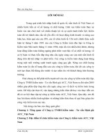 Tổng quan về Công ty TNHH Kiểm toán - Tư vấn Định giá ACC_Việt Nam.DOC