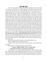 Thực trạng cạnh tranh một số mặt hàng, lĩnh vực kinh doanh trên thị trường và giải pháp để thắng trong cạnh tranh.doc.DOC