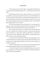 Hoạt động kinh doanh của Toyota Việt Nam với sự thích nghi trong môI trường Luật pháp Việt Nam.doc