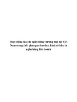 Hoạt động của các ngân hàng thương mại tại Việt Nam trong thời gian qua theo loại hình sở hữu là ngân hàng liên doanh.doc