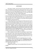 Giải pháp nâng cao hiệu quả kinh doanh sân bay quốc tế Nội Bài.DOC