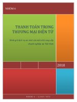 Thanh toán trong TMĐT Đánh giá dịch vụ an ninh của BKIS [Lucious Nero].pdf