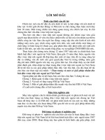 Thực trạng và một số giải pháp nhằm thu hút đầu tư trực tiếp nước ngoài tại Việt Nam.DOC