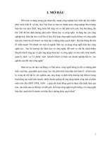 Ứng dụng thương mại điện tử trong doanh nghiệp.doc