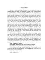 Công ty cổ phần vật liệu xây dựng Tân Sơn - Đánh giá thực trạng tình hình hoạt động và định hướng phát triển.doc