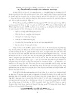 Sự cần thiết phải gia nhập WTO.DOC