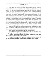 Thực trạng chất lượng tín dụng tại Sở giao dịch Ngân hàng Nông Nghiệp và Phát triển Nông thôn Việt Nam.DOC