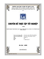 Thâm nhập thị trường may mặc thế giới của công ty cổ phần may Đức Giang.DOC