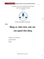 Động cơ, tính cách, cảm xúc của người tiêu dùng.docx