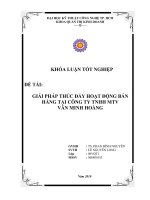 GIẢI PHÁP THÚC ĐẨY HOẠT ĐỘNG BÁN HÀNG TẠI CÔNG TY TNHH MTV.doc